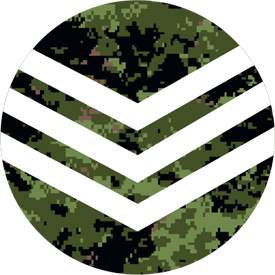 Military Division Icon